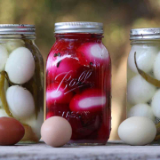 Pickled Eggs